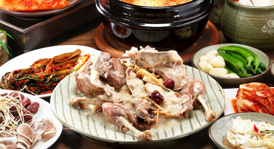 소나무집 메인 배너 - 따끈한 보양 백숙