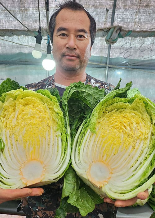 신선 농산물 이미지 7