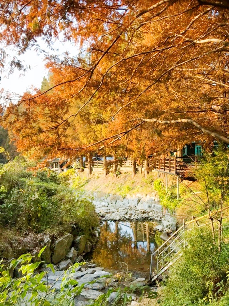 오서산이시돌펜션 갤러리 13