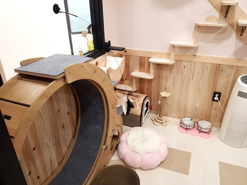 냥멍살롱 갤러리 18