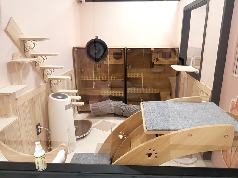 냥멍살롱 갤러리 16