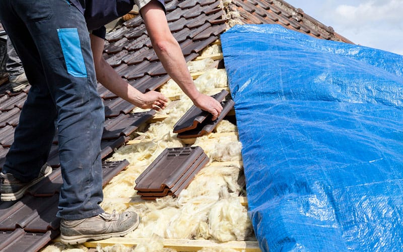 삼성인력 갤러리 6