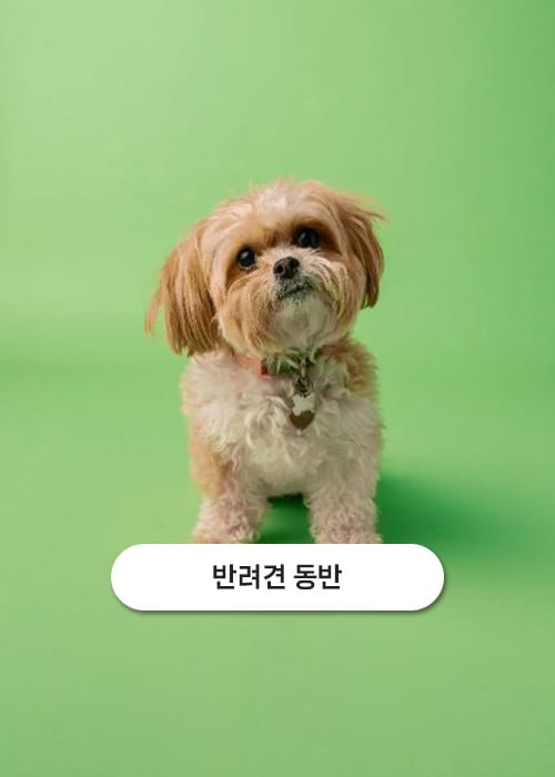 마르첼로 갤러리 7
