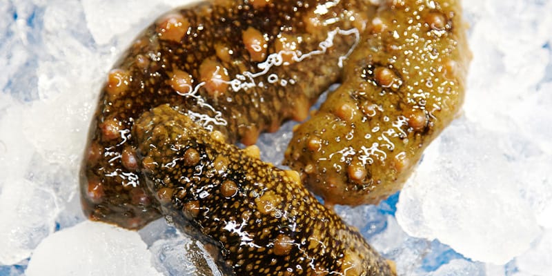해삼