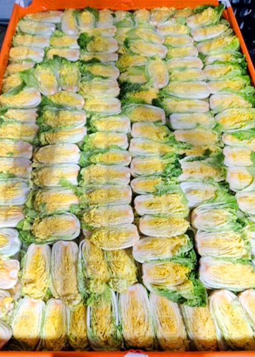 한마음농업법인 갤러리 7