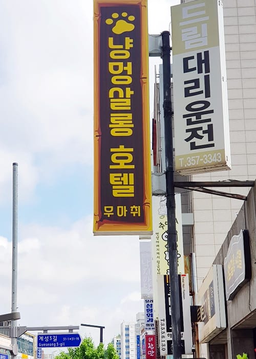 냥멍살롱 갤러리 2