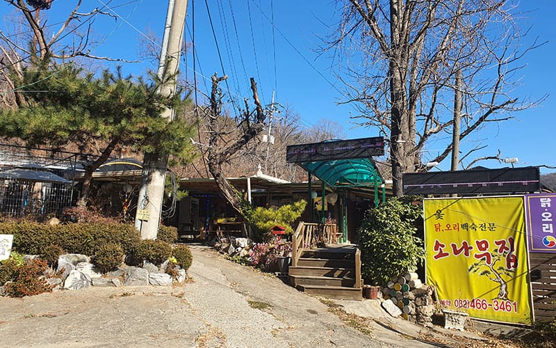 따끈한 닭백숙 상차림