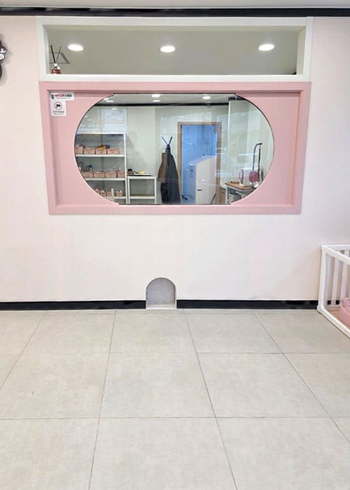 냥멍살롱 갤러리 7