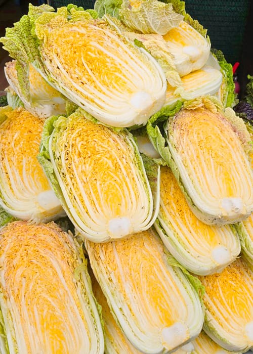 한마음농업법인 갤러리 2