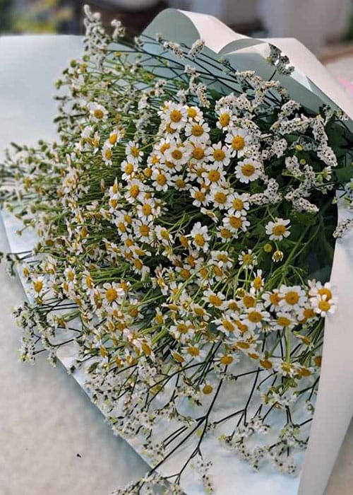 임플라워 갤러리 2