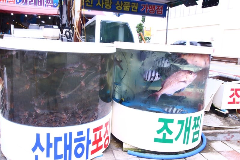 보경이네불타는조개구이횟집 갤러리 9
