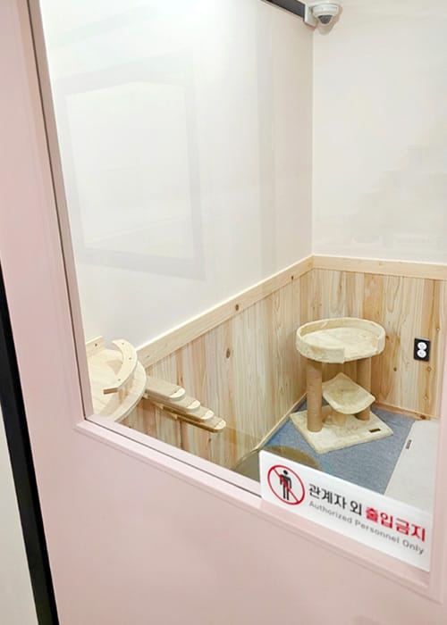 냥멍살롱 갤러리 12