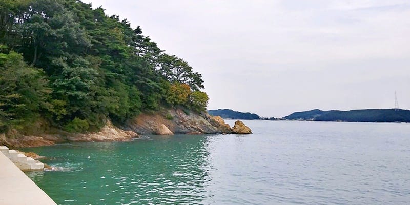 이작횟집,힐링뷰펜션 갤러리 8
