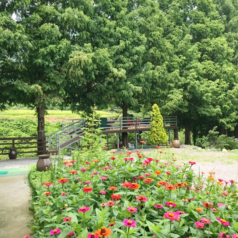 오서산이시돌펜션 갤러리 16