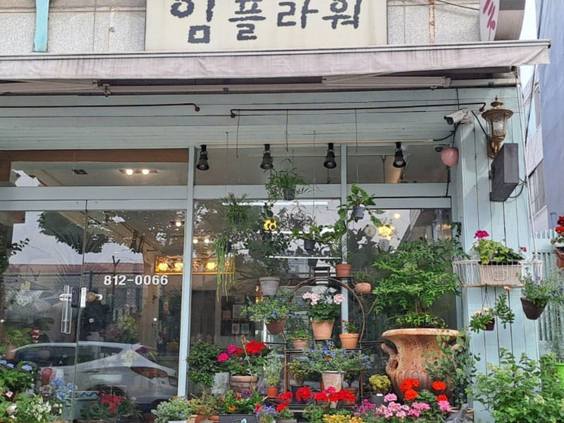 임플라워 소개 이미지 1