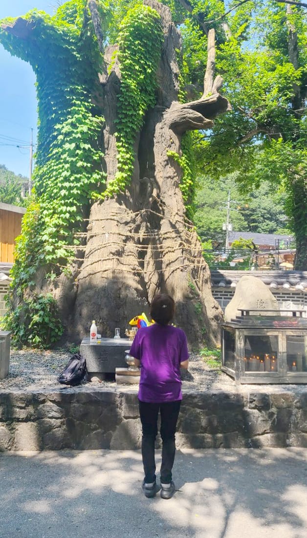 일월신당 갤러리 1