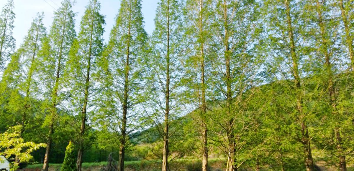 오서산이시돌펜션
