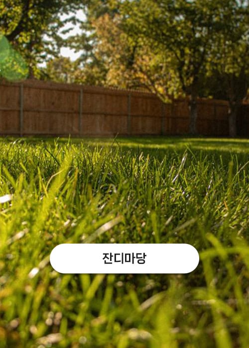 마르첼로 갤러리 10
