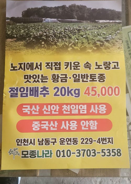 신선 농산물 이미지 1