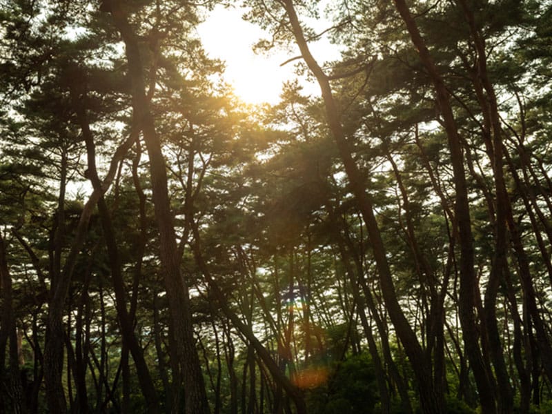 만리장벌펜션 소개 이미지 1