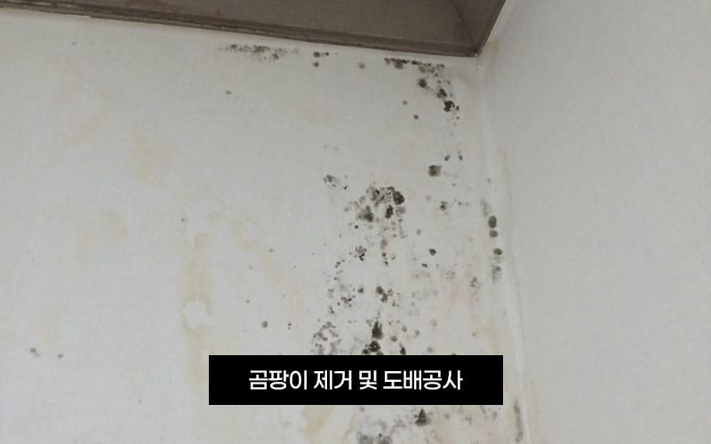 태산토탈인테리어디자인 갤러리 8