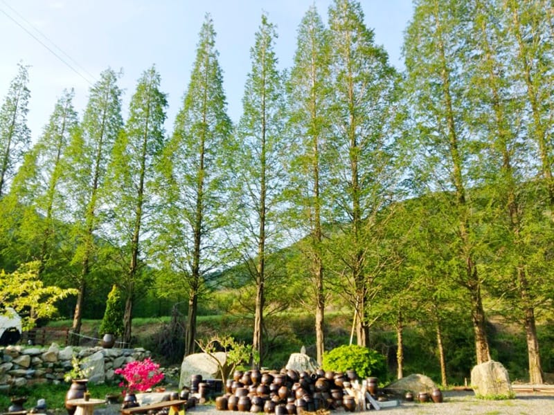 오서산이시돌펜션 갤러리 1