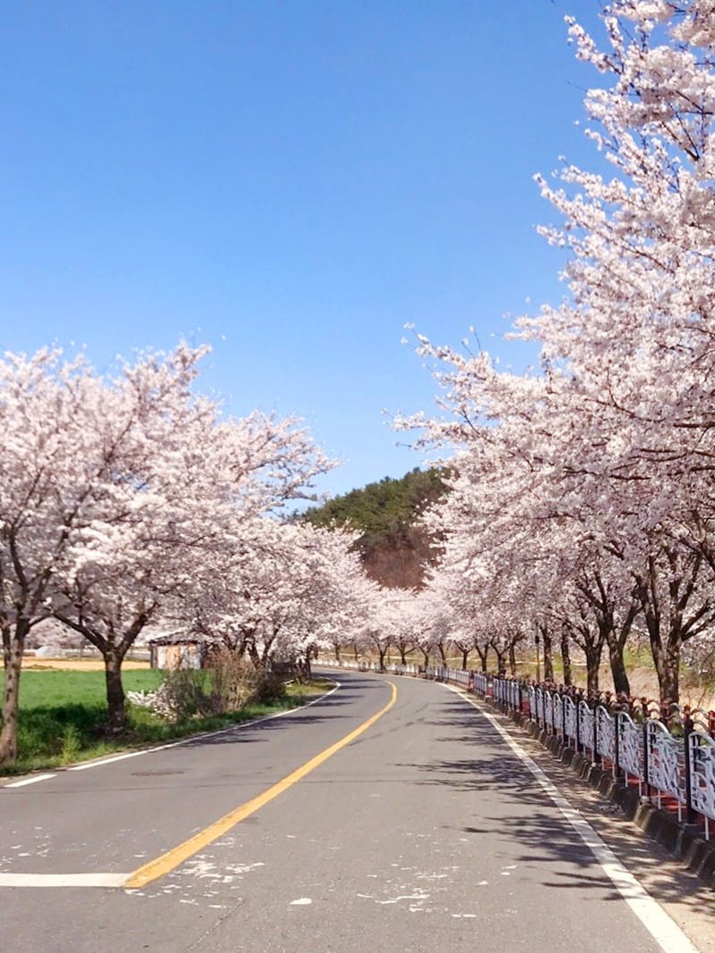 오서산이시돌펜션 갤러리 12