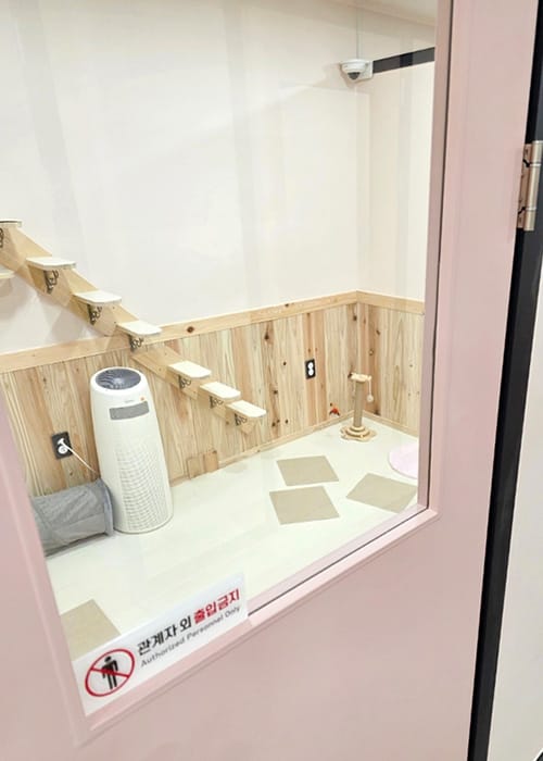 냥멍살롱 갤러리 14